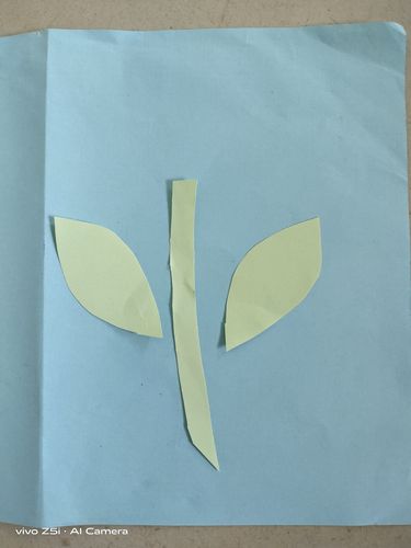 郁金香叶子怎么剪