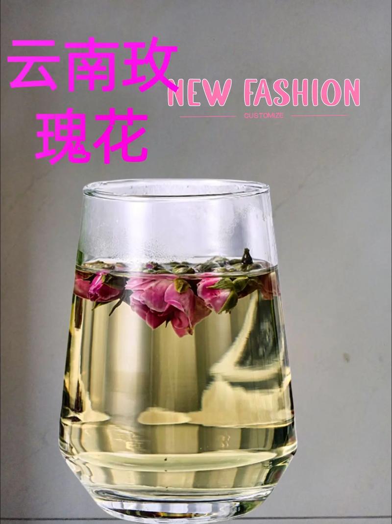 水种玫瑰花怎么养