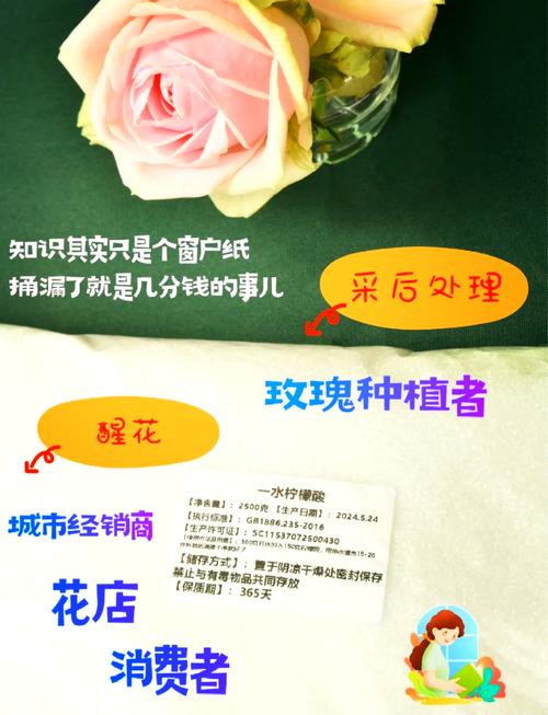 水插玫瑰花不开怎么办