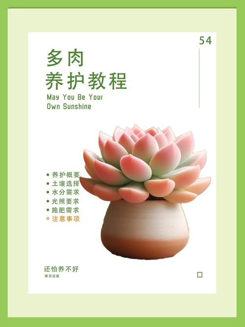 多肉的肉要浇什么水才能长得更旺盛?