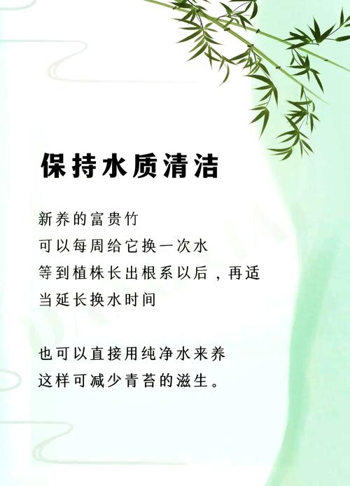 富贵竹水养怎么养