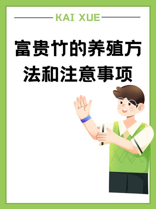 富贵竹的养殖方法水培