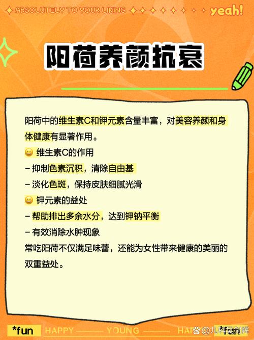 阳荷种植时间和方法