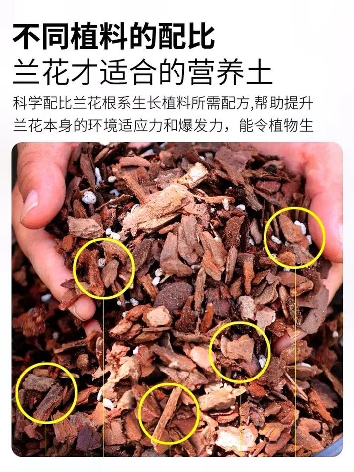 养兰花是园土好还是腐殖土好？兰花用腐殖土？