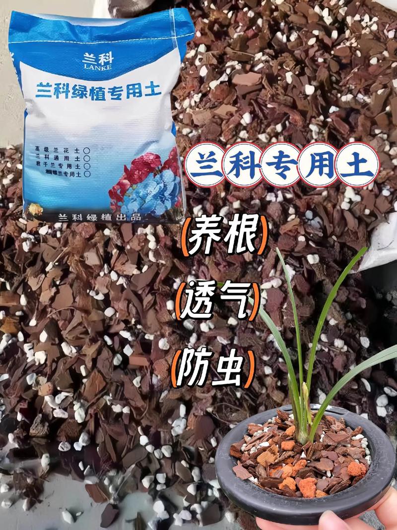 养兰花用园土好还是腐殖土好土壤怎么搭配?