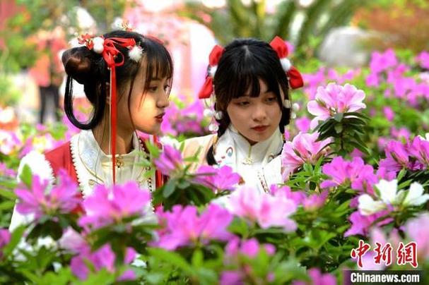 赏花节的传统式
