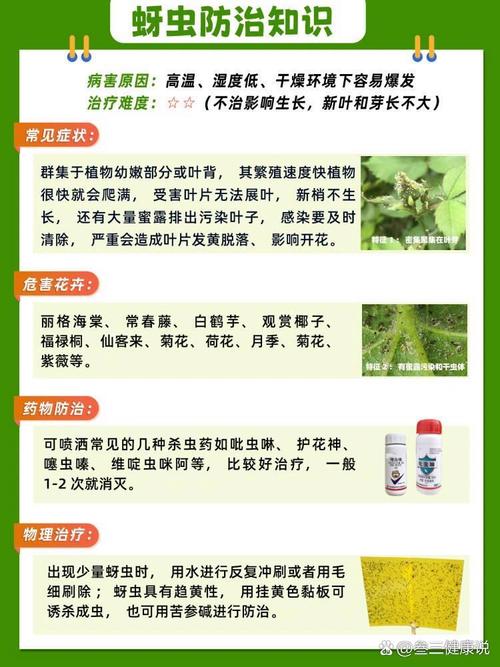 家里养的花长了蚜虫怎么办