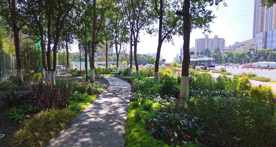 道路街道景观设计常用植物有哪五十种