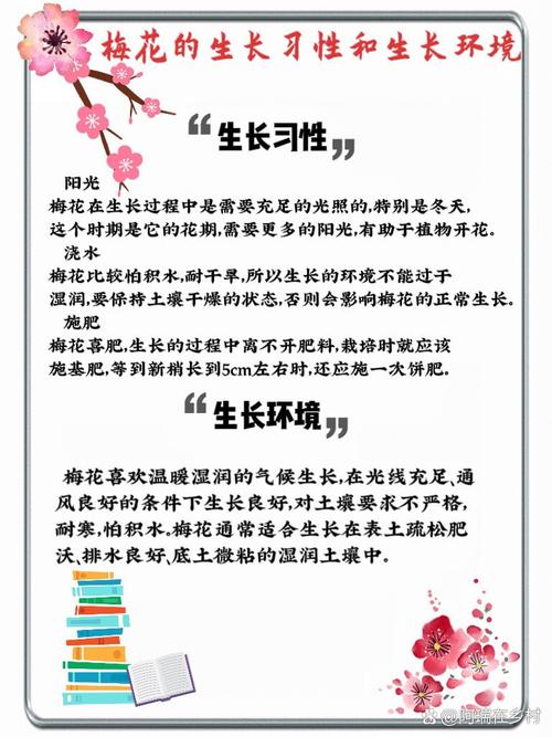 梅花如何进行播种繁殖?