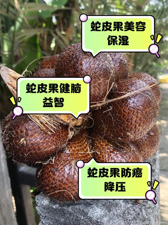 蛇皮果有什么营养价值