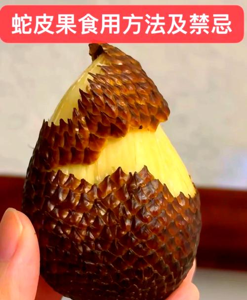 蛇皮果的营养价值