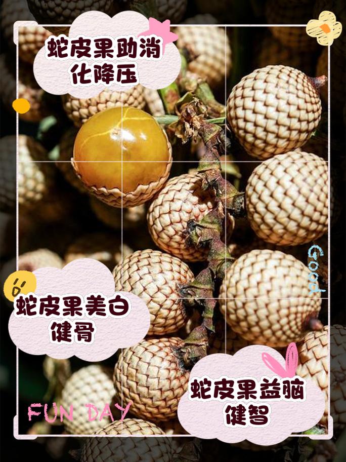蛇皮果吃了有什么功效