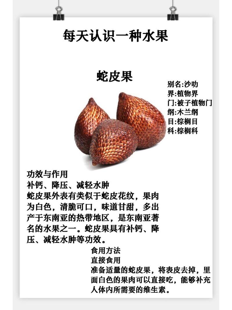 蛇皮果的价值和作用