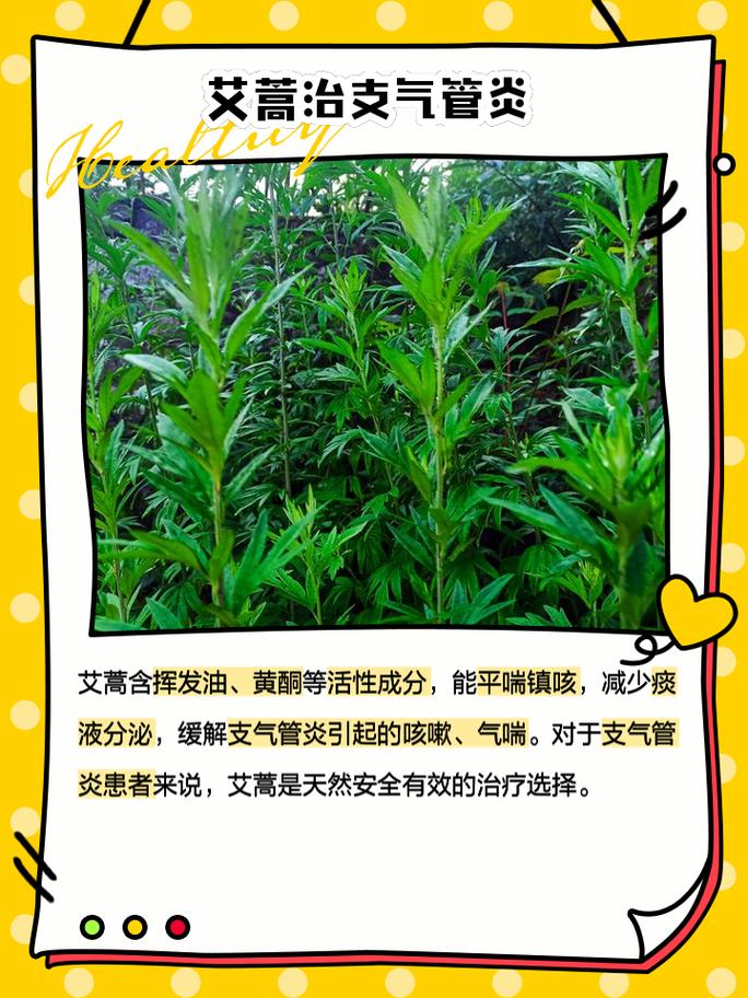 艾蒿的作用,艾蒿图片