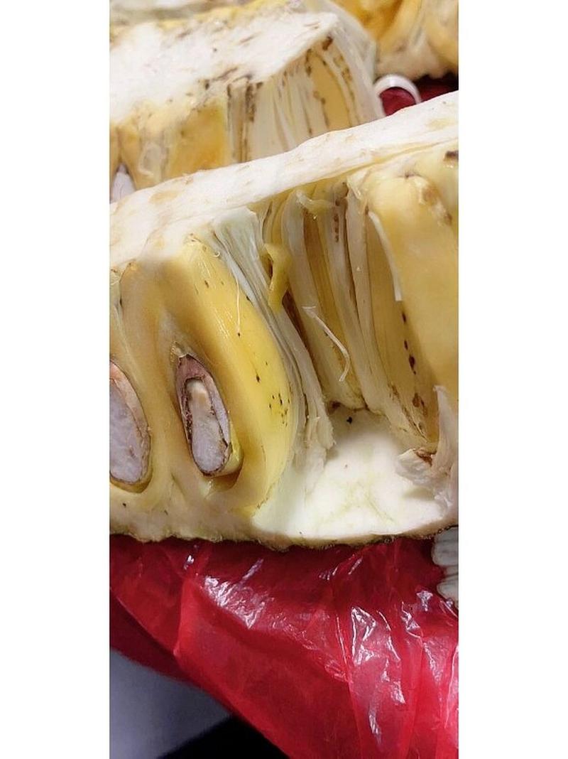 好看的凤梨也要小心照料,病虫害不治就要废!