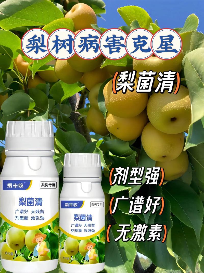 吉利黄星凤梨病虫害防治