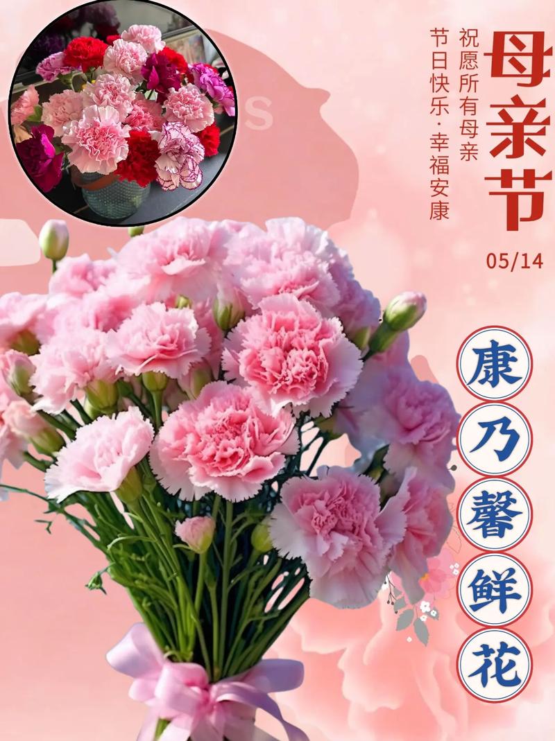 买来的康乃馨花束怎么养