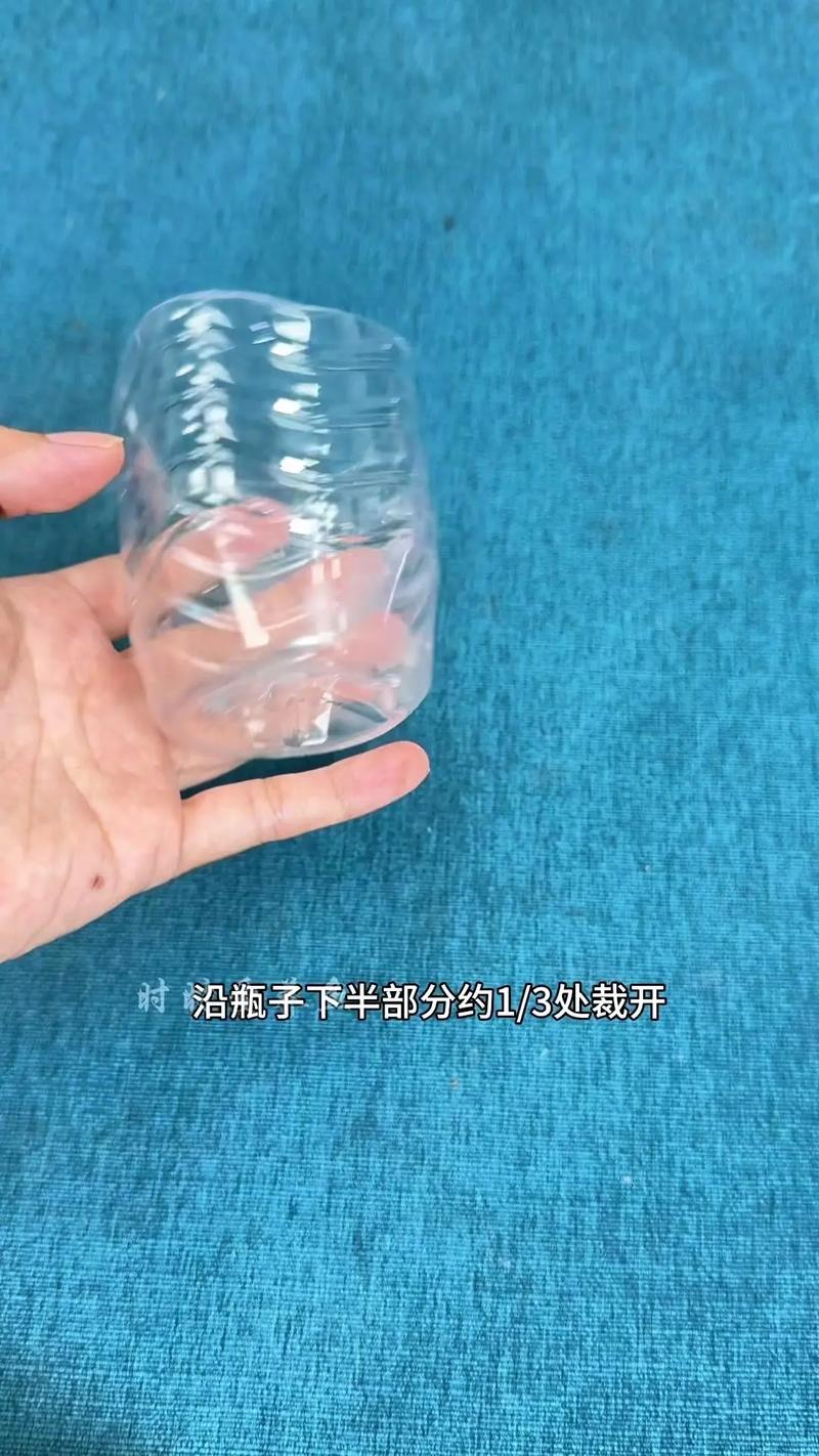 水培绿萝怎么养?