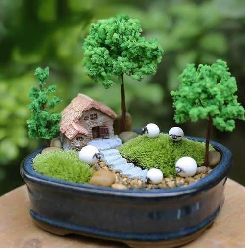 榕树盆景可以铺苔藓不,怎么养出苔藓
