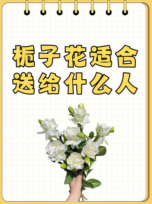 栀子花的花语有哪些栀子花介绍