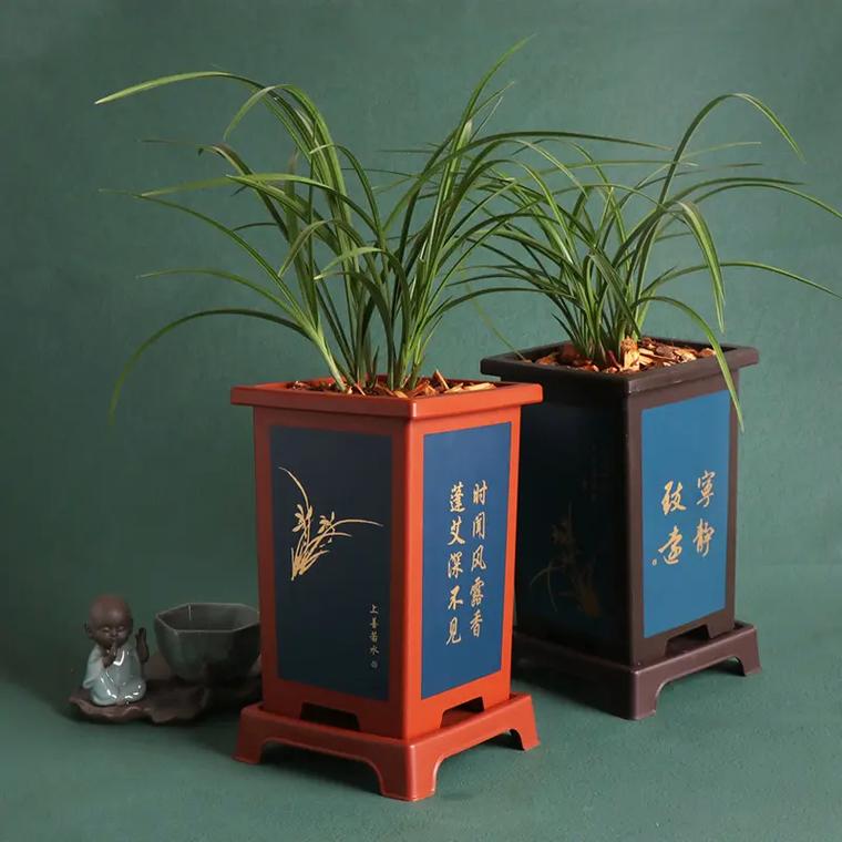 兰花换盆用什么土好