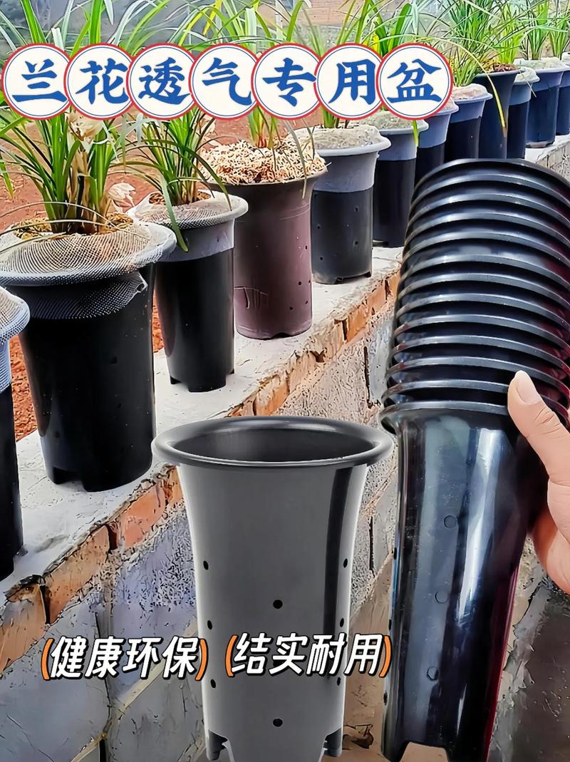 兰花倒盆用什么土