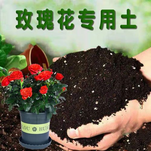 栽玫瑰花用什么土比较好