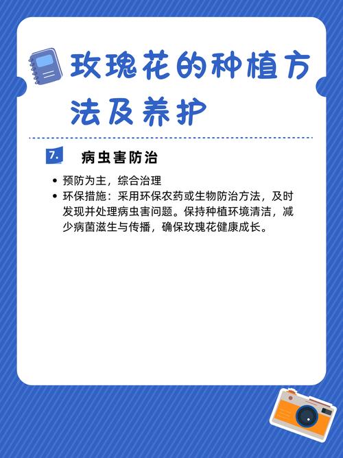 种植玫瑰花土壤怎么选