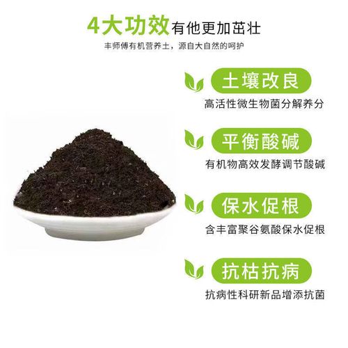 玫瑰花适合什么土壤