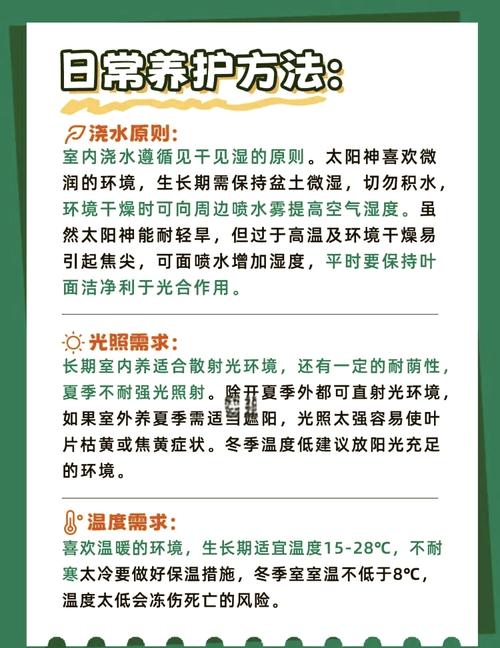 家养盆栽朱蕉的养殖方法和注意事项有哪些