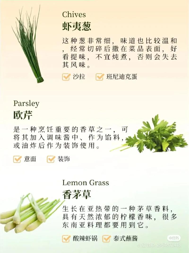 香草别名叫什么