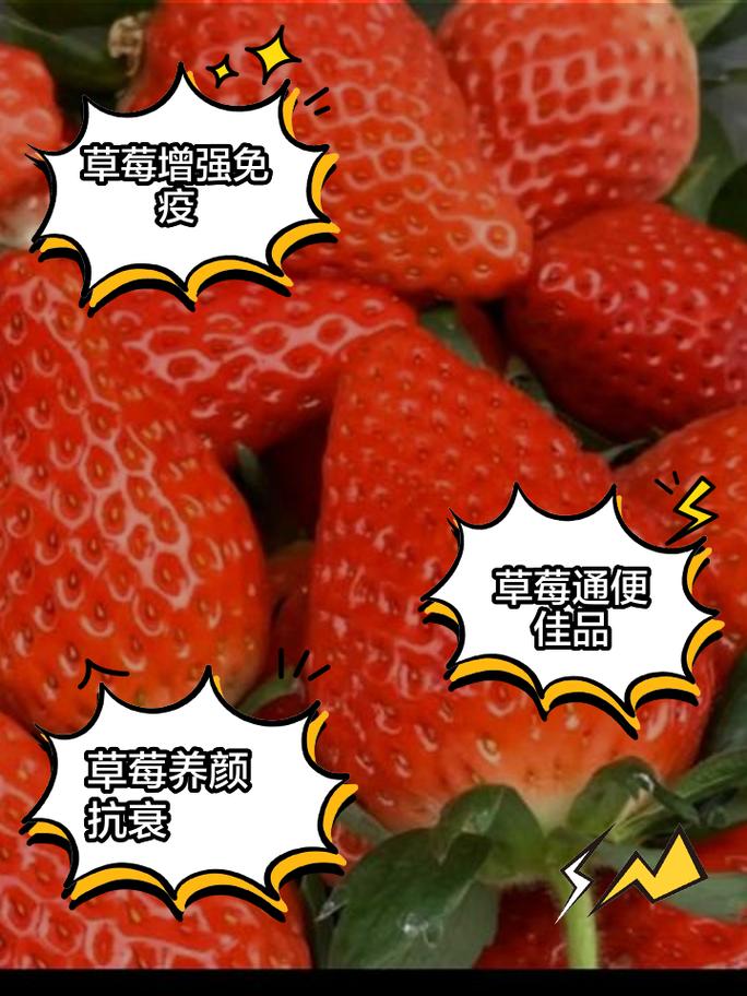 草莓的营养价值与功效