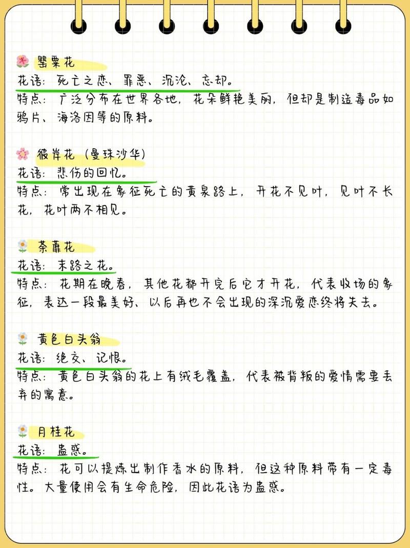 金色曼陀罗花语