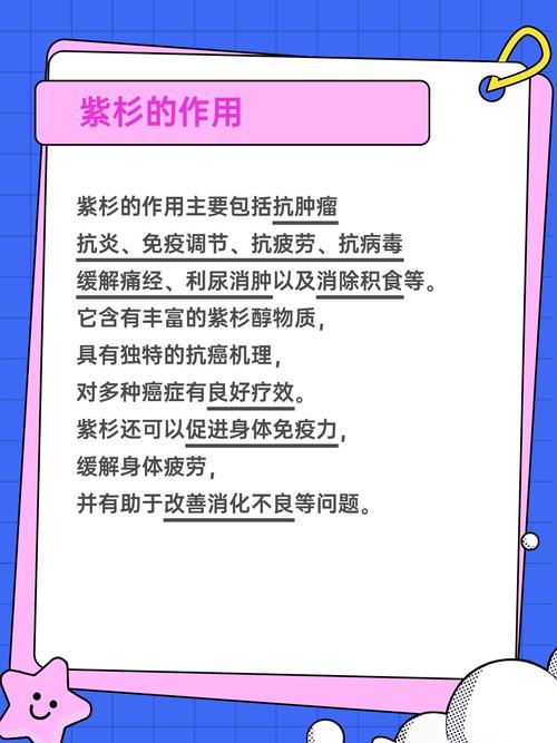 紫杉有什么药用价值?紫杉的功效与作用