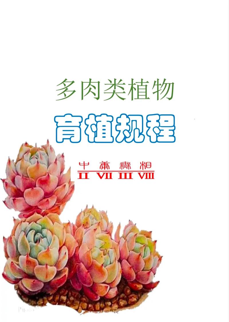 多肉植物怎么种