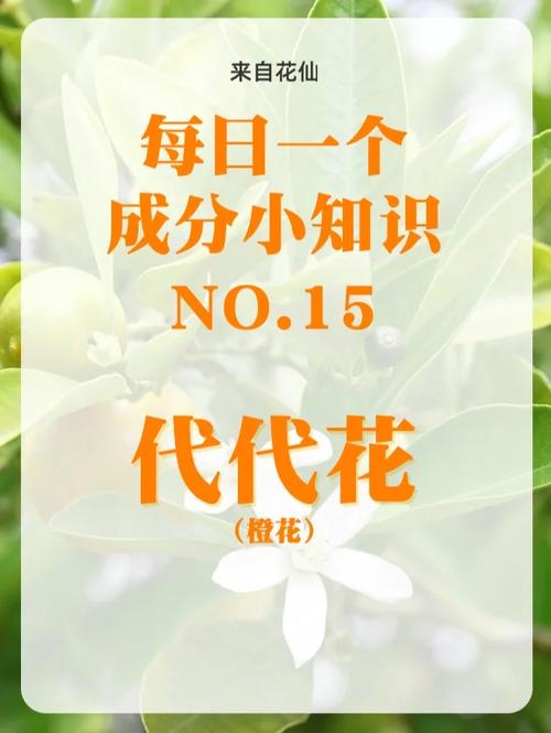 【代代花】的功效与作用