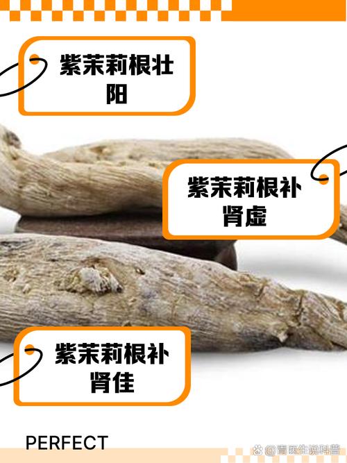 紫茉莉的功效与作用