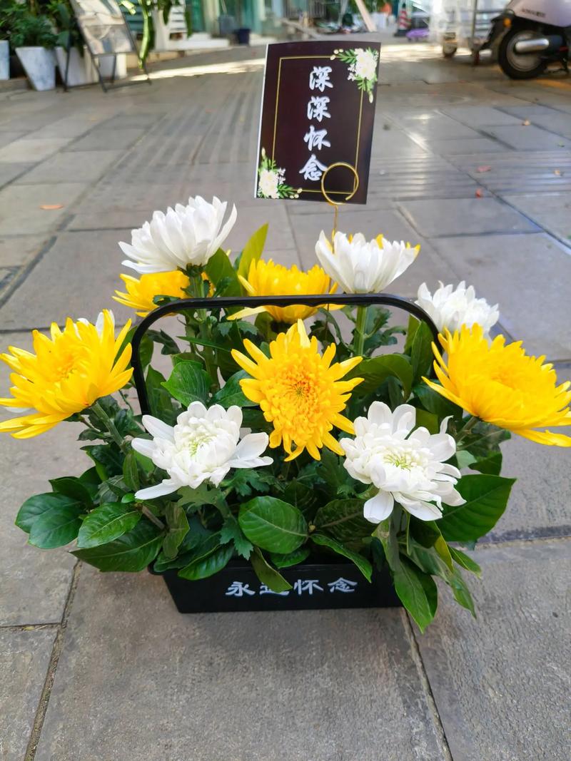 菊花家庭摆放有哪些讲究