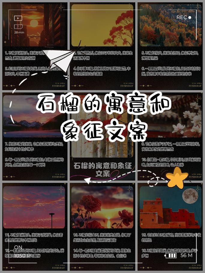 石榴寓意什么意思