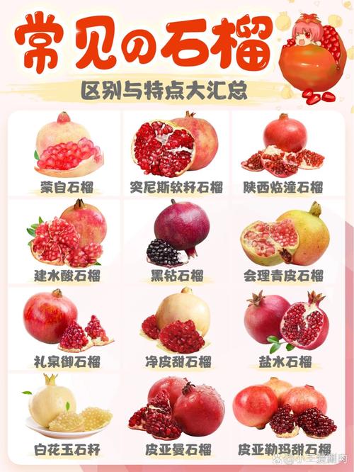 石榴有什么寓意