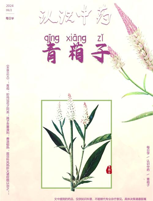 青葙的养殖方法及注意事项？青鳉怎么养？