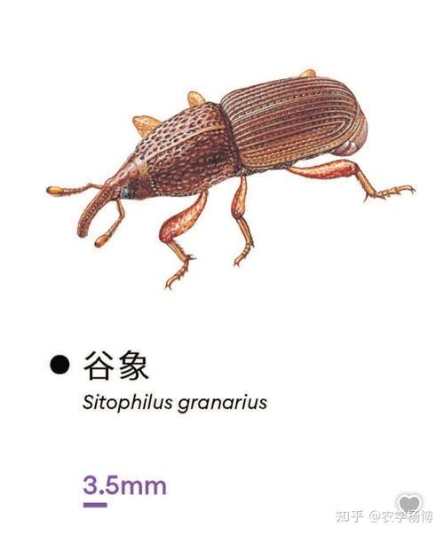 请问哪位大神知道这是什么