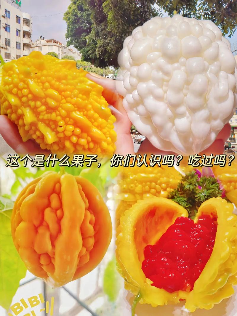 这是什么果实有什么效果