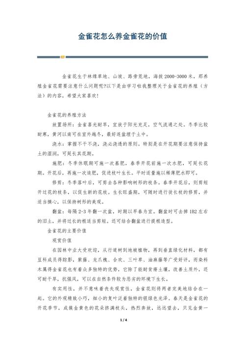金雀花怎么养长的好养殖金雀花的方法