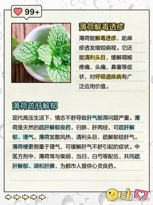 养薄荷有什么好处