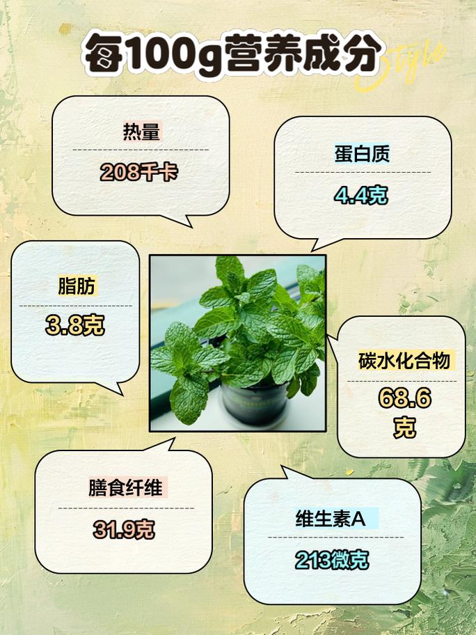薄荷的功效