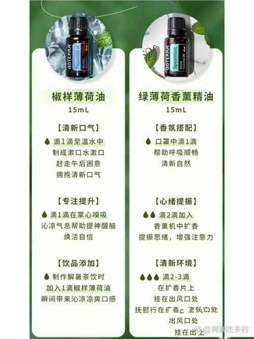 薄荷有什么功效和作用