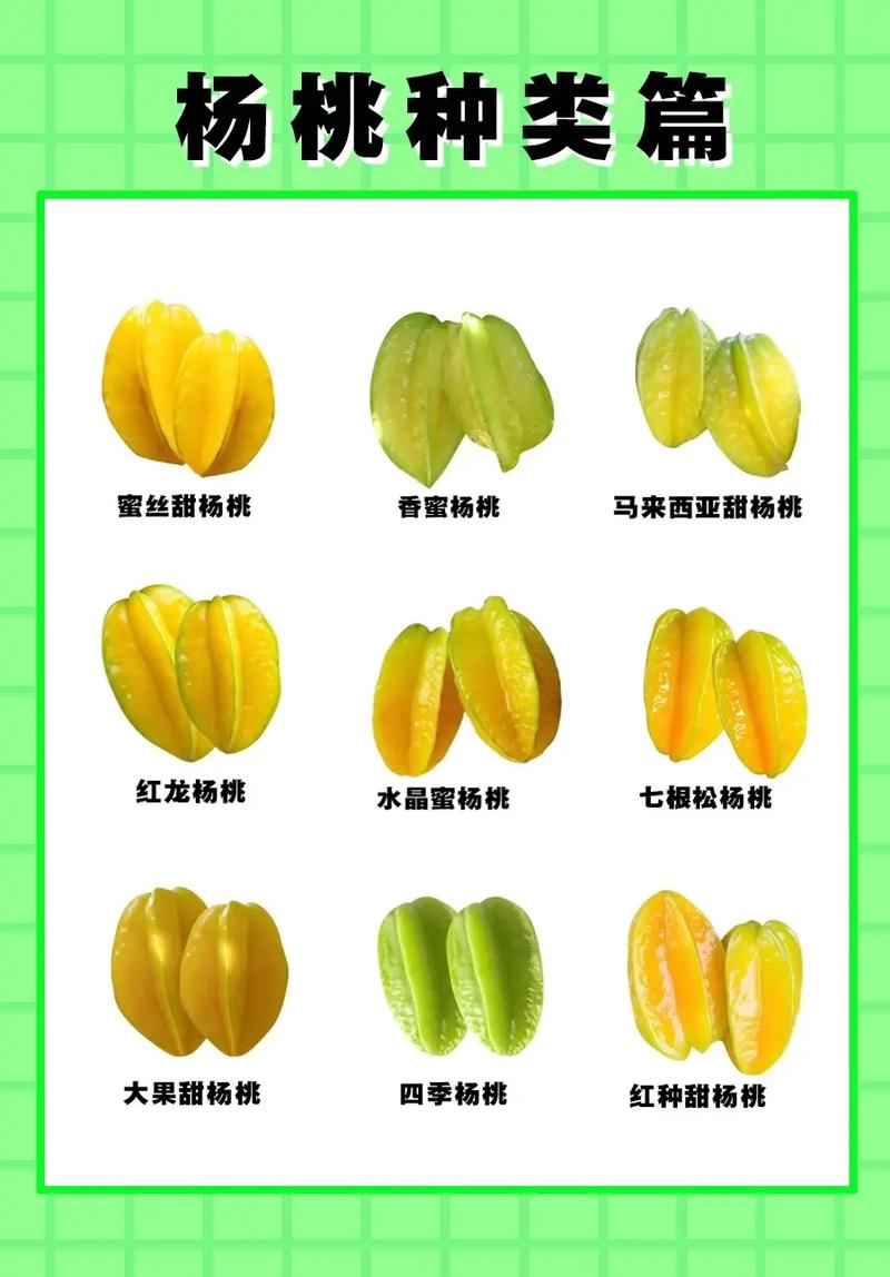 杨桃的常见吃法技巧杨桃怎么吃的