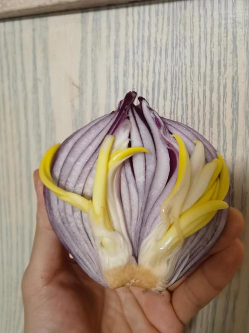 洋葱发芽了可以吃吗