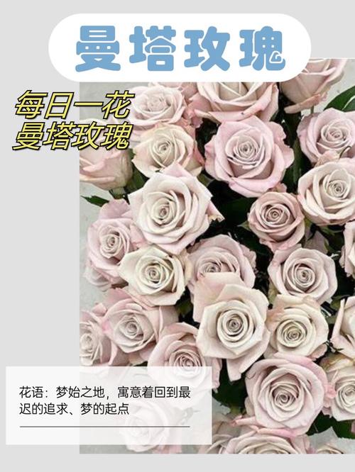 清纯的初恋是什么花的花语